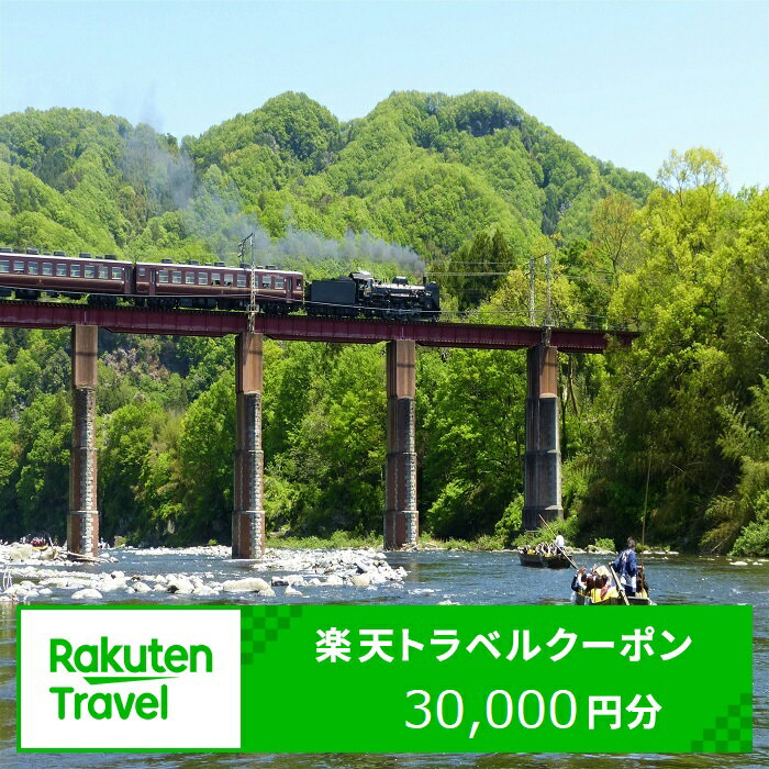 【ふるさと納税】埼玉県長瀞町の対象施設で使える楽天トラベルクーポン 寄付額100,000円