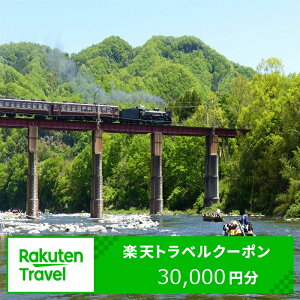 【ふるさと納税】埼玉県長瀞町の対象施設で使える楽天トラベルクーポン 寄付額100,000円