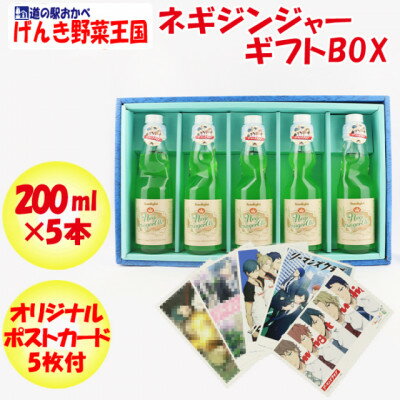 ネギジンジャー ギフトBOX