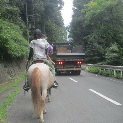 【ふるさと納税】公道での乗馬〜ちょっと道草ライド〜1名【1427727】