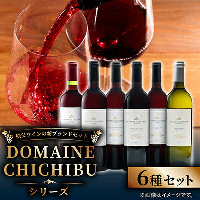 【ふるさと納税】DOMAINE CHICHIBU シリーズ　750ml×5本・720ml×1本(計6本セット)【1741234】