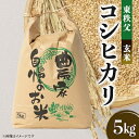 【ふるさと納税】【令和5年度産】東秩父・玄米コシヒカリ5キロ【1220530】