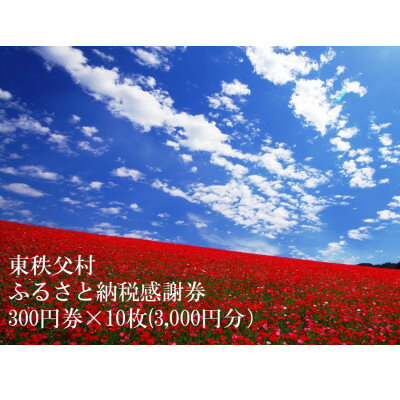 【ふるさと納税】東秩父村ふるさと納税感謝券3,000円分(300円券×10枚)【1303889】