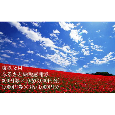 45位! 口コミ数「0件」評価「0」東秩父村ふるさと納税感謝券6,000円分(1,000円券×3枚、300円券×10枚)【1303895】