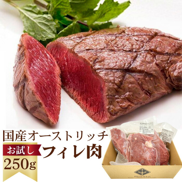 4位! 口コミ数「2件」評価「5」 国産オーストリッチお試しフィレ肉250g ／ ダチョウ肉 冷凍 オストリッチ 肉 ギフト 贈答 送料無料 埼玉県 No.023