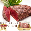 11位! 口コミ数「2件」評価「5」 国産オーストリッチお試しフィレ肉250g ／ ダチョウ肉 冷凍 オストリッチ 肉 ギフト 贈答 送料無料 埼玉県 No.023