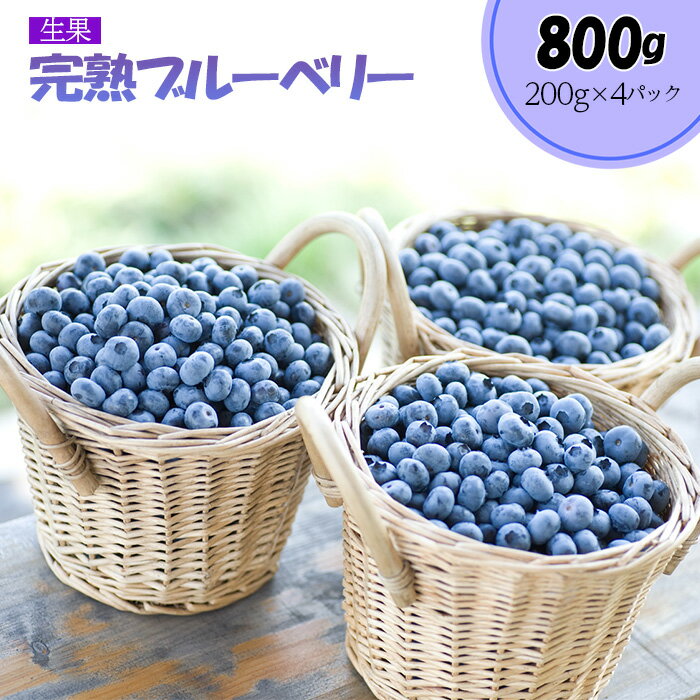 完熟ブルーベリー800g（生果）＜期間限定＞【ブルーベリー王国美里町からお届け！】 ／ 果実 厳選 完熟 完熟ブルーベリー 800g 生果 国産 埼玉県産 期間限定 産地直送 フルーツ 果物 ベリー 新鮮 甘い 甘酸っぱい お取り寄せ 送料無料 埼玉県 No.176
