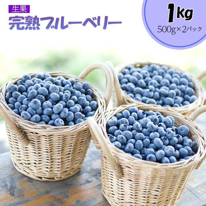 完熟ブルーベリー1kg（生果）＜期間限定＞【ブルーベリー王国美里町からお届け！】 ／ 果実 厳選 完熟 ティフブルー 送料無料 埼玉県 No.177