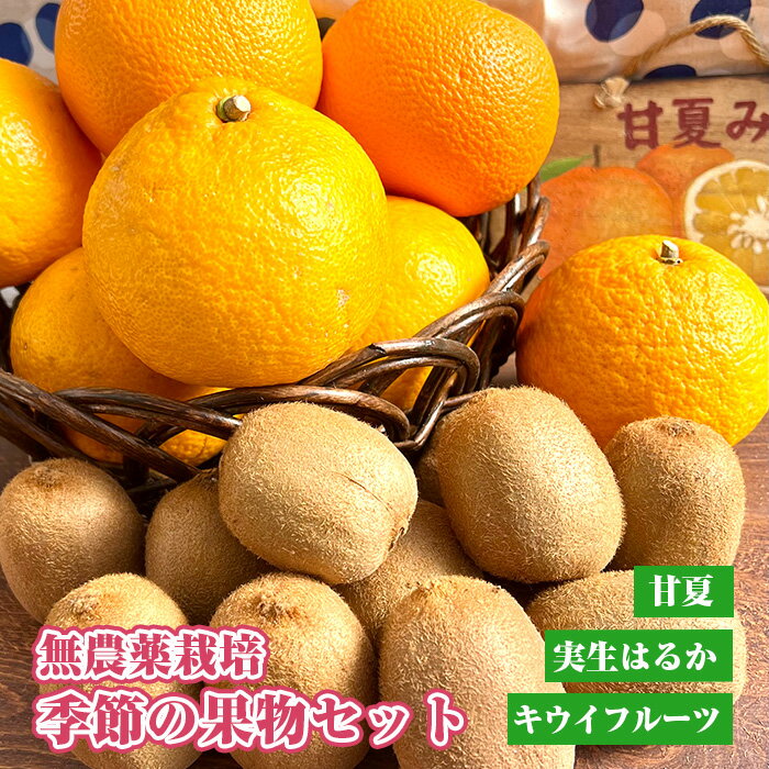【ふるさと納税】 無農薬栽培 季節の果物セット / フルーツ キウイフルーツ 甘夏 実生はるか 詰合せ 送料無料 埼玉県 No.203