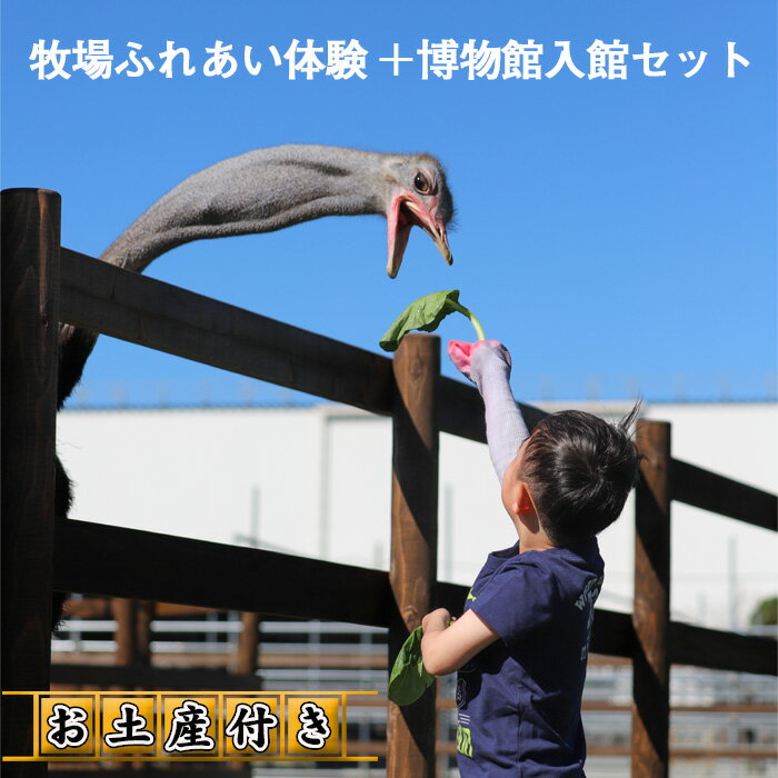 【ふるさと納税】牧場ふれあい体験+博物館入館セット【お土産付き】 / ダチョウ チケット オーストリッチ 送料無料 埼玉県 No.210
