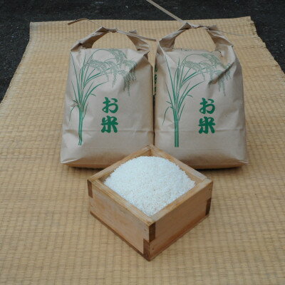 【ふるさと納税】【令和3年産】埼玉県産　キヌヒカリ　精米5kg×2袋　計10kg【1...