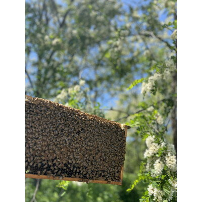 埼玉県神川町の画像3