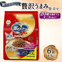 2位! 口コミ数「0件」評価「0」銀のスプーン 贅沢うまみ仕立て 20歳を過ぎてもすこやかに 1.3kg×6袋【1463336】