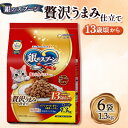 【ふるさと納税】銀のスプーン 贅沢うまみ仕立て 13歳頃から 1.3kg×6袋【1463366】