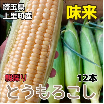 とうもろこし【味来】2L　12本　【先行予約2024年夏発送】【配送不可地域：離島】【1473338】