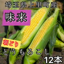 【ふるさと納税】【先行予約2025年夏発送】とうもろこし 味来 2Lサイズ×12本 計5kg(梱包込み)【配送不可地域:離島】【1564847】