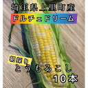 【ふるさと納税】【先行予約2025年夏発送】上里町産とうもろこし ドルチェドリーム2L×10本 計5kg(梱包込み)【配送不可地域:離島】【1564849】