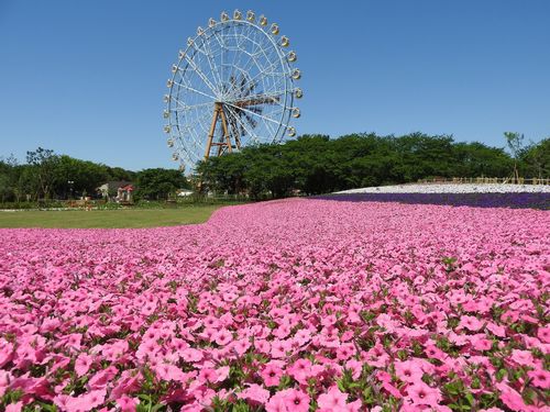 【ふるさと納税】東武動物公園「入場券」（ペア）その2