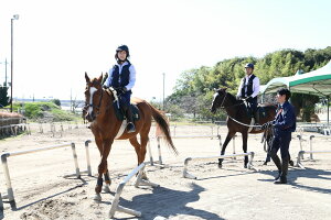 【ふるさと納税】ペア家族限定乗馬体験1回コース　◆東武乗馬クラブ＆クレイン◆