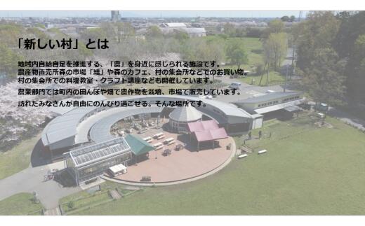 埼玉県宮代町 ふるさと納税の画像2