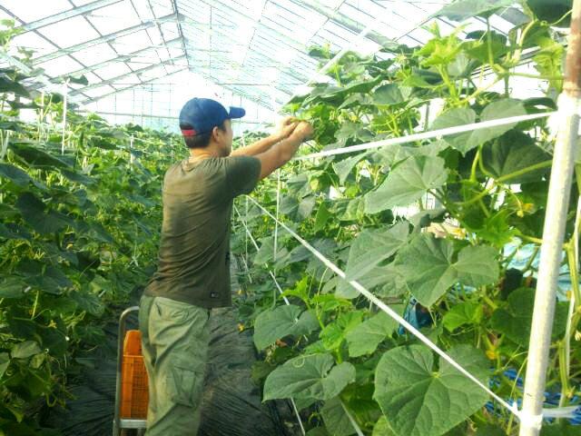 埼玉県杉戸町の画像2