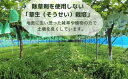 埼玉県杉戸町の画像3