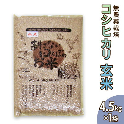 無農薬栽培 コシヒカリ 玄米 4.5kg 【令和5年度米】 [0346]