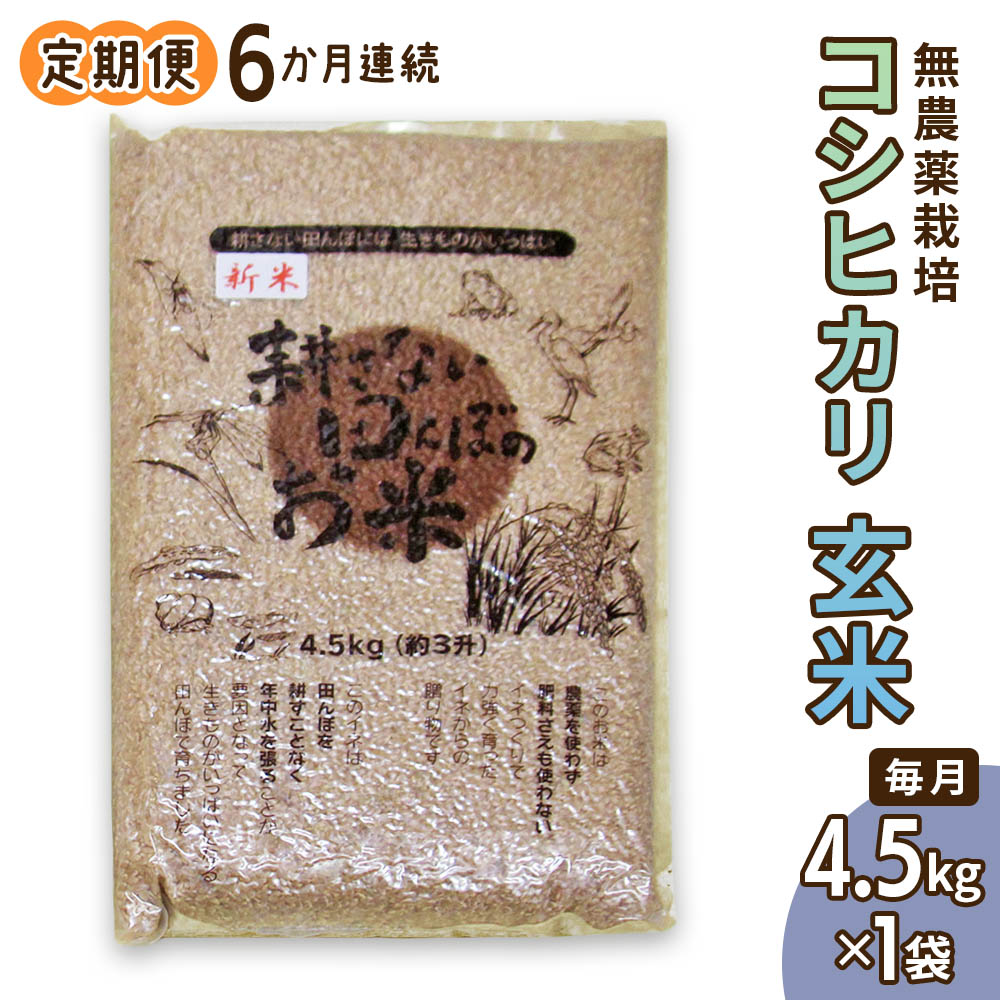 [定期便] (6か月連続お届け) 無農薬栽培 コシヒカリ 玄米 4.5kg 【令和5年度米】 [0350]