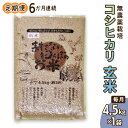 4位! 口コミ数「0件」評価「0」[定期便] (6か月連続お届け) 無農薬栽培 コシヒカリ 玄米 4.5kg 【令和5年度米】 [0350]