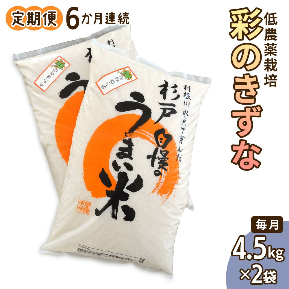 [定期便] 6か月連続お届け 低農薬栽培の彩のきずな4.5kg×2袋 [令和5年度米] [0290]