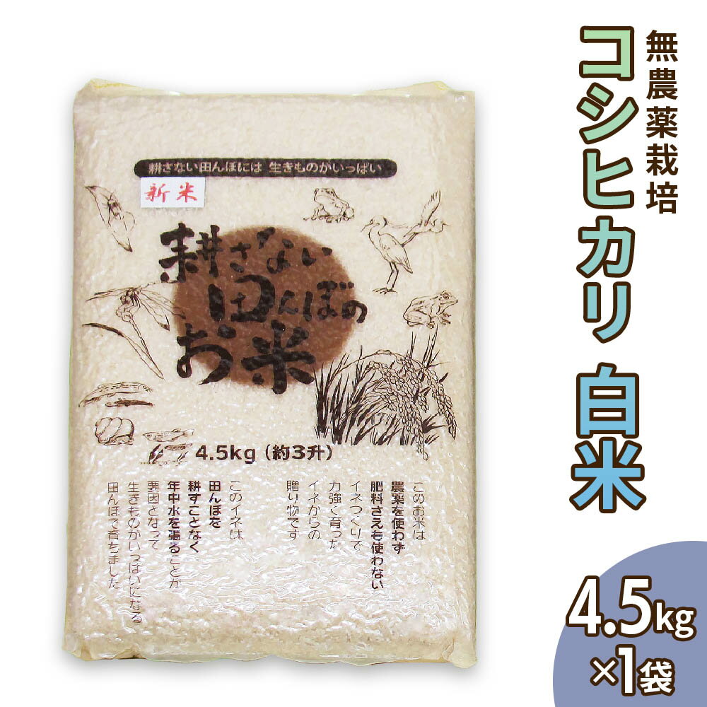 4位! 口コミ数「0件」評価「0」無農薬栽培 コシヒカリ 白米 4.5kg【令和5年度米】[0345]