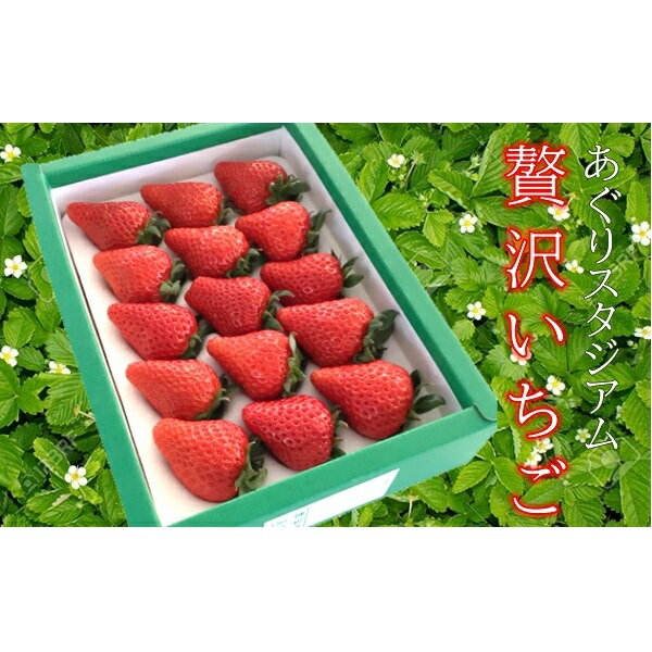 【ふるさと納税】贅沢いちご　15粒入り　2箱　 果物類 フルーツ 果実 デザート 食後 おやつ 完熟いちご 新鮮 大粒 国産 日本産 産地直送 食べ物 食品 　お届け：2022年1月10日～4月10日までのサムネイル