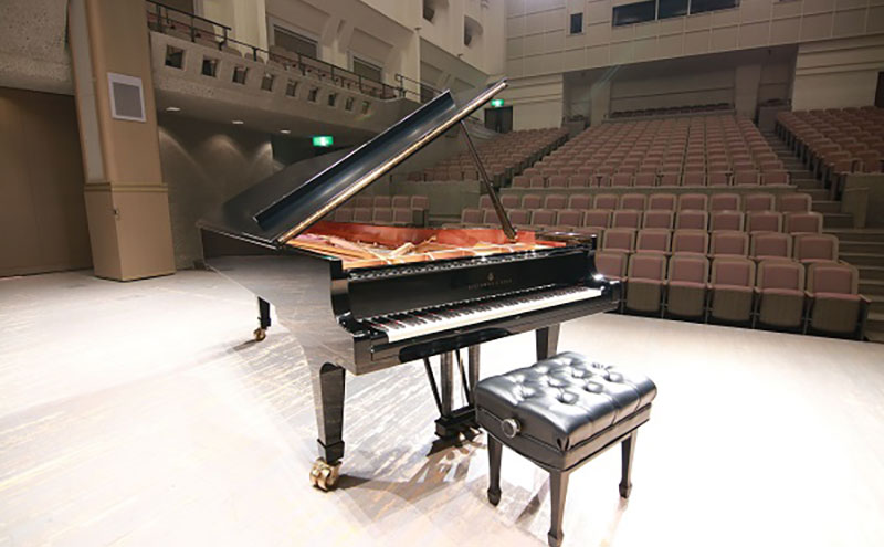 【ふるさと納税】田園ホール・エローラ（松伏町中央公民館ホール）コンサート用ピアノ・ベーゼンドルファー290インペリアル2時間試弾券 体験チケット