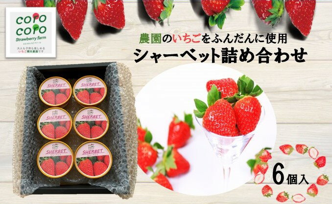 【ふるさと納税】シャーベット詰合せ（6個） スイーツ お菓子 デザート 食後 おやつ ひんやり