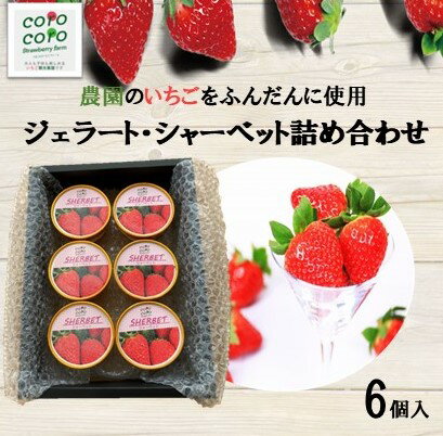 【ふるさと納税】シャーベット詰合せ（6個）　【 スイーツ お菓子 デザート 食後 おやつ ひんやり いちごジェラート まろやかな甘み なめらか食感 さわやかな香り 夏 】