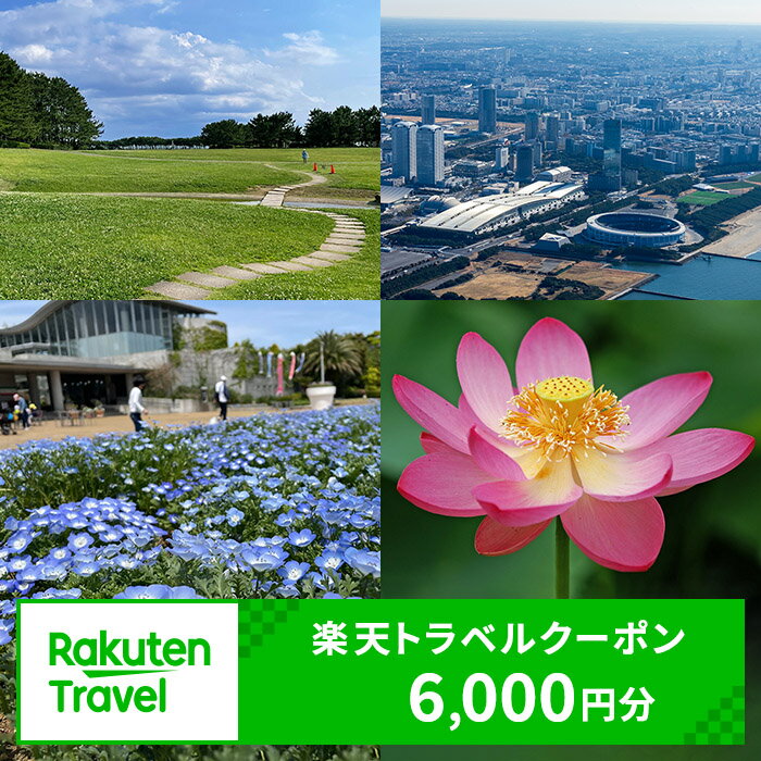 ふるさと納税　千葉県千葉市の対象施設で使える 楽天トラベルクーポン 寄付額20,000円(クーポン6,000円)　【高級宿・宿泊券・旅行】