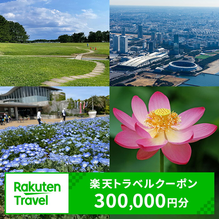 8位! 口コミ数「0件」評価「0」ふるさと納税　千葉県千葉市の対象施設で使える 楽天トラベルクーポン 寄付額1,000,000円(クーポン300,000円)　【高級宿・宿泊券･･･ 