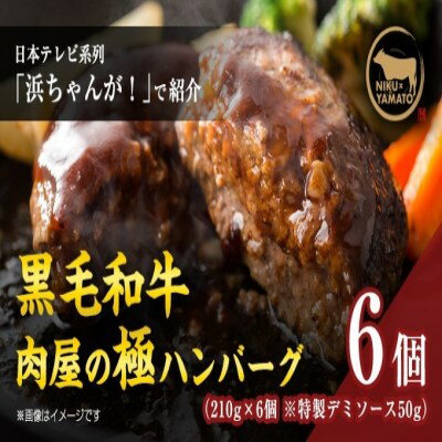 【ふるさと納税】自家製ー極ーハンバーグ 6個入り 【 お肉 ハンバーグ 真空冷凍 】 【 お肉 ハンバーグ 真空冷凍 】