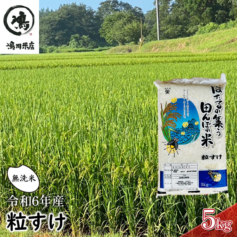 【ふるさと納税】米 令和5年 新品種 粒すけ 5kg 千葉産 乾式 無洗米　【 お米 こめ コメ おこめ 】　...