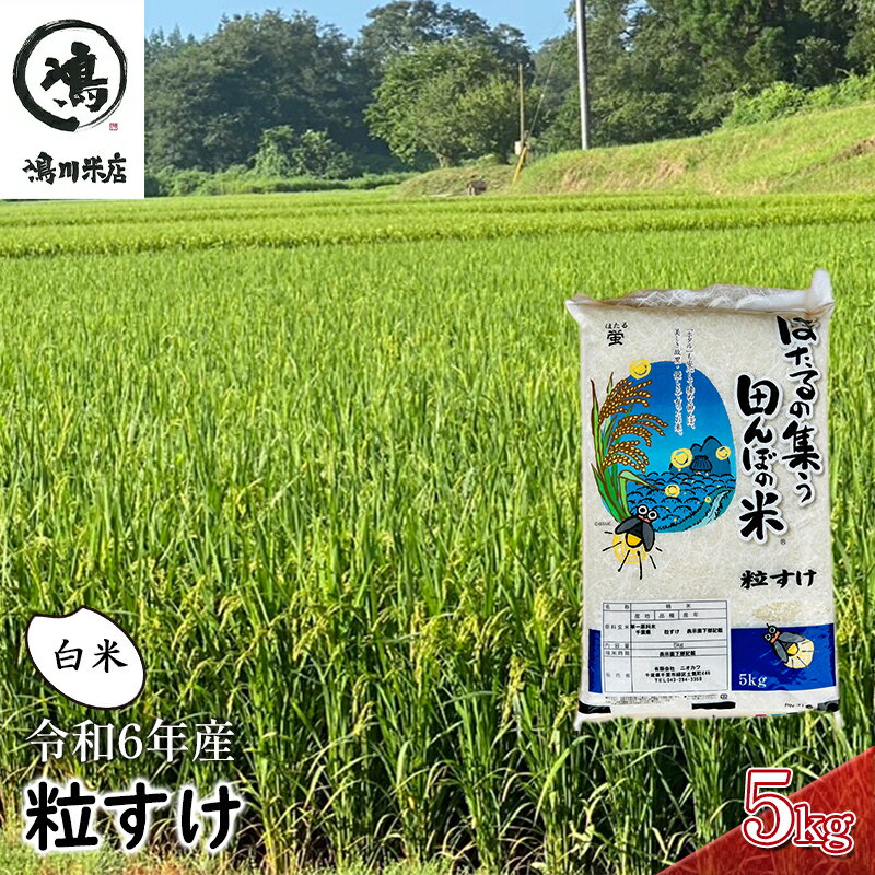 米 令和5年 新品種 粒すけ 5kg 千葉産 白米 [ お米 こめ コメ おこめ ] [ お米 こめ コメ おこめ ]