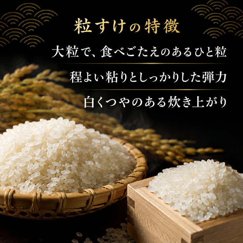 【ふるさと納税】【先行予約・令和8年産】 粒すけ 白米5kg 　【 お米 こめ コメ おこめ 】 　お届け：2026年8月25日から f121002-chiba-10000036 千葉県千葉市 サンプル画像3