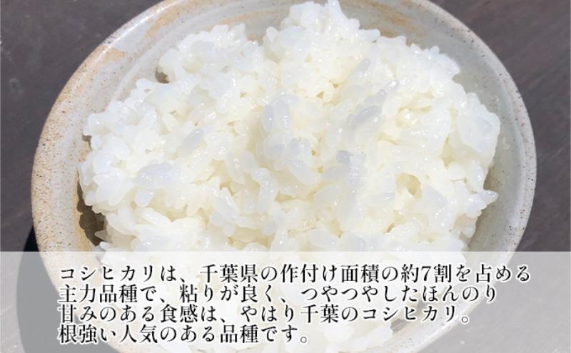 【ふるさと納税】最短出荷 2日から7日以内に発送 千葉産 コシヒカリ 白米 2kg　【 お米 コシヒカリ 米 白米 2kg 】