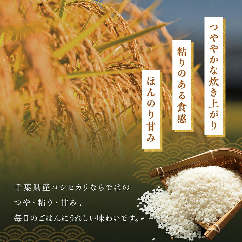 【ふるさと納税】千葉産 コシヒカリ 白米 2kg　【 お米 コシヒカリ 米 白米 2kg 】 f121002-chiba-10000035 千葉県千葉市 サンプル画像3