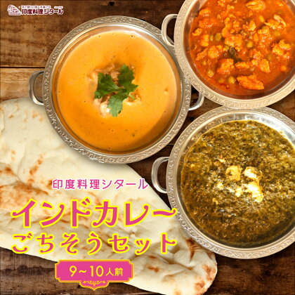 印度料理シタール インドカレー大ごちそうセット【カレー 加工食品 レトルト食品】　【 惣菜 お手軽 簡単調理 レトルト 】