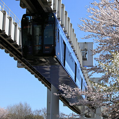 【ふるさと納税】貸切列車（全線プラン）【 体験チケット 貸切列車 チケット モノレール 】　【 体験チケット 貸切列車 チケット モノレール 】のサムネイル