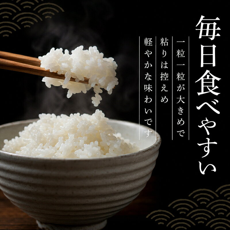 【ふるさと納税】米 令和7年 ふさおとめ 2kg 千葉産 乾式 無洗米　【 お米 こめ コメ おこめ 】 f121002-chiba-10000098 千葉県千葉市 サンプル画像3
