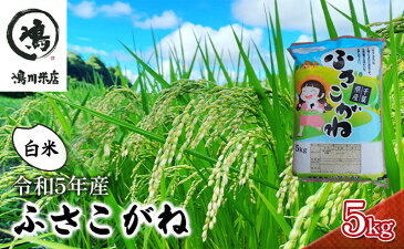 【ふるさと納税】新米 千葉産 ふさこがね 白米 5kg 令和4年産 【お米・ふさこがね・米・白米・5kg】