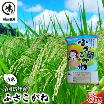 【ふるさと納税】新米 千葉産 ふさこがね　白米　5kg 令和4年産　【お米・ふさこがね・米・白米・5kg】