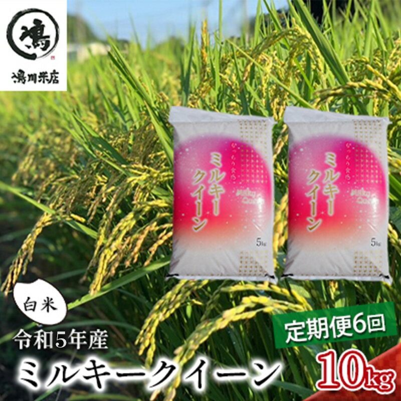 [6ヶ月連続定期便]千葉産 令和5年 ミルキークィーン 白米 10kg(5kg×2)[定期便 ご飯モチモチ 粘り お弁当 おにぎり] [定期便・ お米 ご飯 白米 精米 令和4年 注文後精米 モチモチ 粘り お弁当 おにぎり 冷めてもおいしい ]