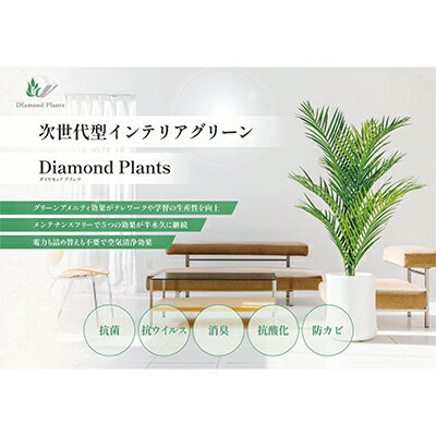 【ふるさと納税】次世代型インテリアグリーン　DiamondPlants　Grande【リビング 寝室】　【 インテリア ナノダイヤモンド 触媒 コーティングして 抗菌 抗ウィルス 消臭 防カビ 抗酸化作用 次世代型 植物 】